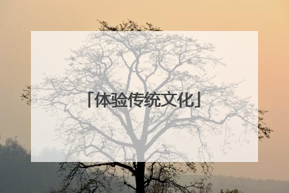 体验传统文化