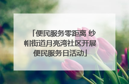 便民服务零距离 纱帽街道月亮湾社区开展便民服务日活动