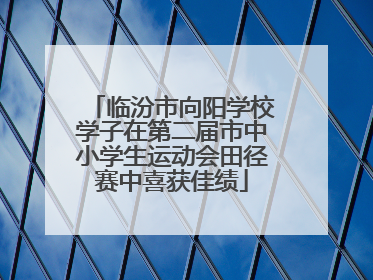 临汾市向阳学校学子在第二届市中小学生运动会田径赛中喜获佳绩