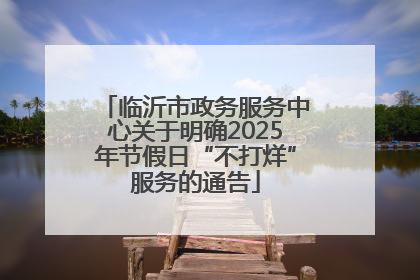 临沂市政务服务中心关于明确2025年节假日“不打烊”服务的通告
