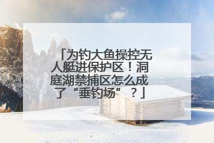 为钓大鱼操控无人艇进保护区！洞庭湖禁捕区怎么成了“垂钓场”？