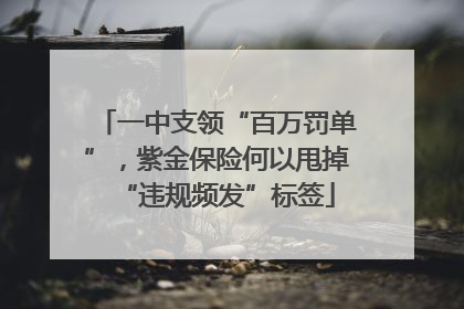一中支领“百万罚单”，紫金保险何以甩掉“违规频发”标签
