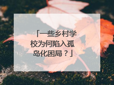 一些乡村学校为何陷入孤岛化困局？