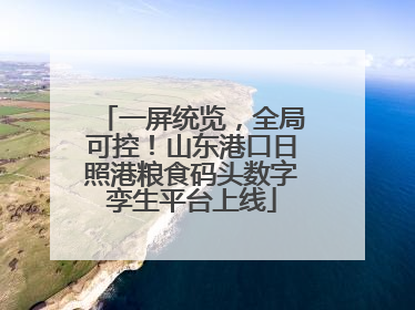 一屏统览，全局可控！山东港口日照港粮食码头数字孪生平台上线
