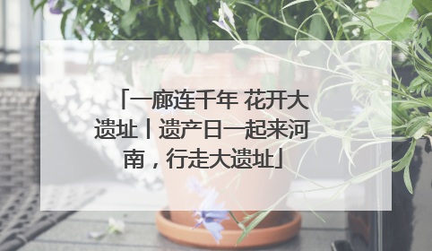 一廊连千年 花开大遗址丨遗产日一起来河南，行走大遗址