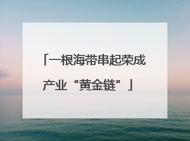 一根海带串起荣成产业“黄金链”