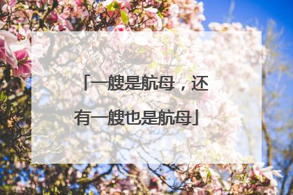 一艘是航母，还有一艘也是航母