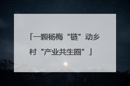 一颗杨梅“链”动乡村“产业共生圈”