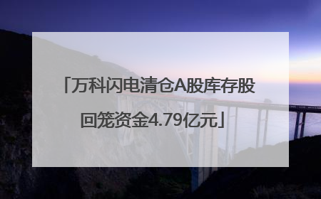 万科闪电清仓A股库存股 回笼资金4.79亿元