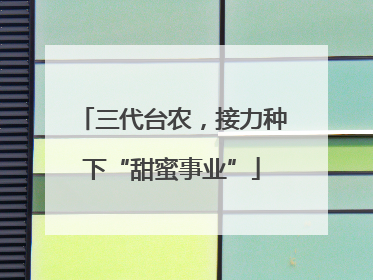 三代台农，接力种下“甜蜜事业”