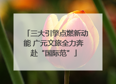 三大引擎点燃新动能 广元文旅全力奔赴“国际范”