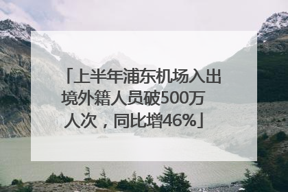 上半年浦东机场入出境外籍人员破500万人次，同比增46%