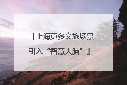 上海更多文旅场景引入“智慧大脑”