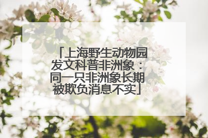 上海野生动物园发文科普非洲象：同一只非洲象长期被欺负消息不实