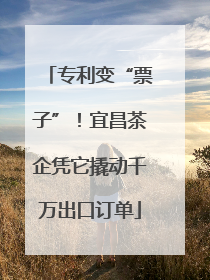 专利变“票子”！宜昌茶企凭它撬动千万出口订单