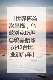 世界杯首次出线，乌兹别克斯坦总统豪赠球员42台比亚迪汽车