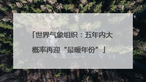 世界气象组织：五年内大概率再迎“最暖年份”