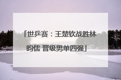 世乒赛：王楚钦战胜林昀儒 晋级男单四强