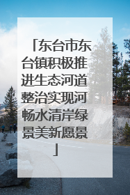 东台市东台镇积极推进生态河道整治实现河畅水清岸绿景美新愿景