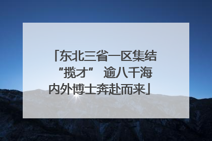 东北三省一区集结“揽才” 逾八千海内外博士奔赴而来