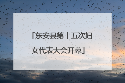 东安县第十五次妇女代表大会开幕
