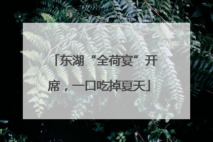 东湖“全荷宴”开席，一口吃掉夏天