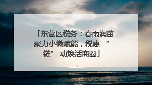 东营区税务：春雨润苗聚力小微赋能，税惠 “链” 动焕活商圈