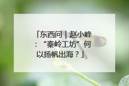东西问｜赵小峰：“秦岭工坊”何以扬帆出海？