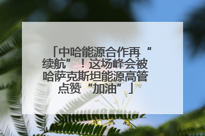 中哈能源合作再“续航”！这场峰会被哈萨克斯坦能源高管点赞“加油”