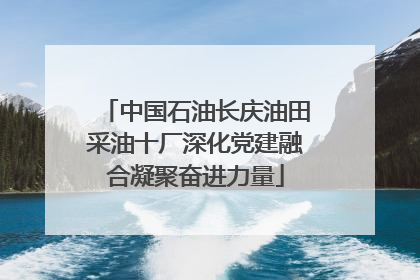中国石油长庆油田采油十厂深化党建融合凝聚奋进力量