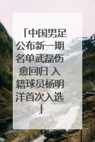 中国男足公布新一期名单武磊伤愈回归 入籍球员杨明洋首次入选
