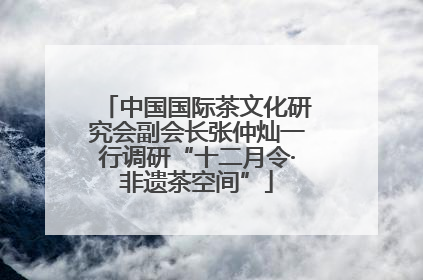 中国国际茶文化研究会副会长张仲灿一行调研“十二月令·非遗茶空间”