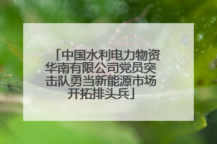 中国水利电力物资华南有限公司党员突击队勇当新能源市场开拓排头兵