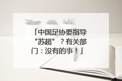 中国足协要指导“苏超”？有关部门：没有的事！