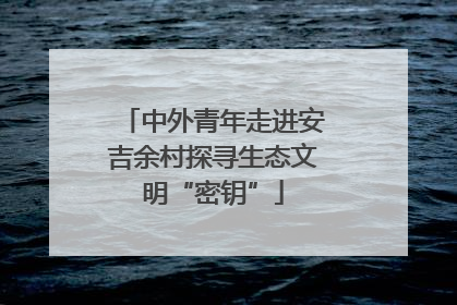 中外青年走进安吉余村探寻生态文明“密钥”