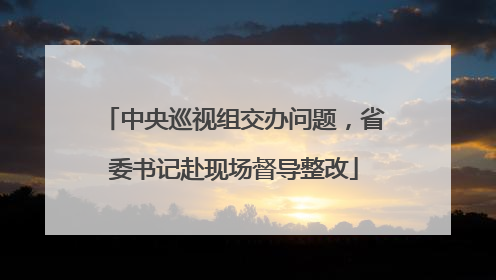 中央巡视组交办问题，省委书记赴现场督导整改