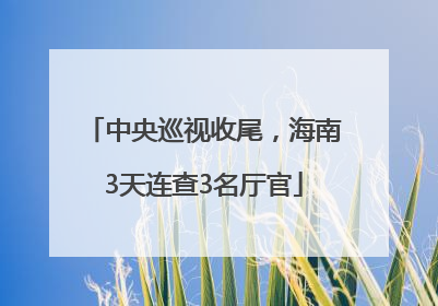 中央巡视收尾，海南3天连查3名厅官
