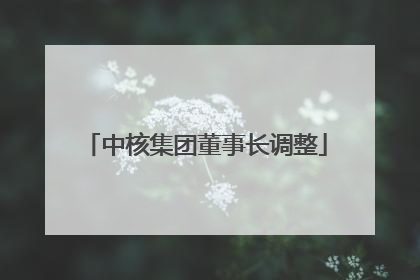 中核集团董事长调整