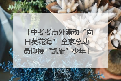 中考考点外涌动“向日葵花海” 全家总动员迎接“凯旋”少年