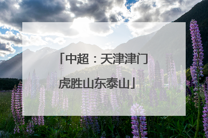 中超：天津津门虎胜山东泰山