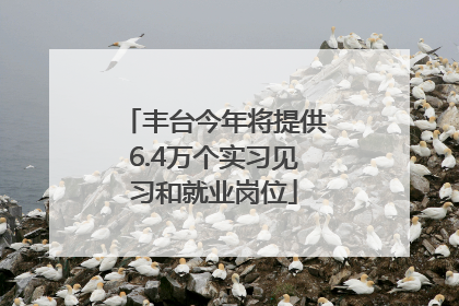 丰台今年将提供6.4万个实习见习和就业岗位