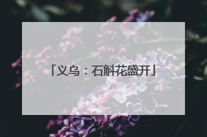 义乌：石斛花盛开