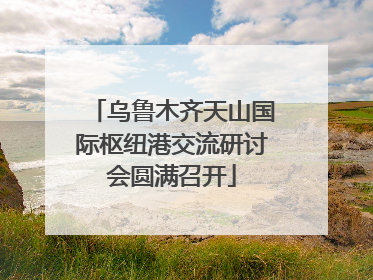乌鲁木齐天山国际枢纽港交流研讨会圆满召开
