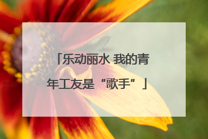 乐动丽水 我的青年工友是“歌手”