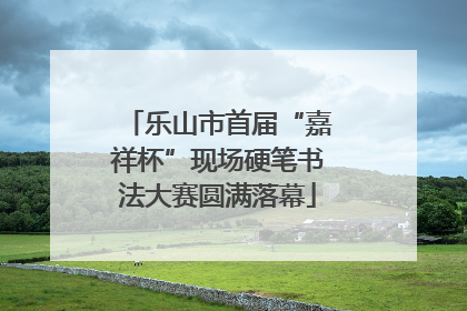 乐山市首届“嘉祥杯”现场硬笔书法大赛圆满落幕