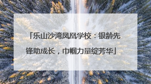 乐山沙湾凤凰学校：银龄先锋助成长，巾帼力量绽芳华