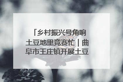 乡村振兴号角响 土豆地里竞赛忙｜曲阜市王庄镇开展土豆收获劳动竞赛