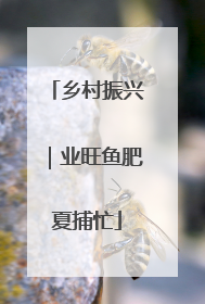 乡村振兴｜业旺鱼肥夏捕忙