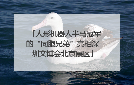 人形机器人半马冠军的“同胞兄弟”亮相深圳文博会北京展区