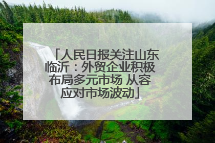 人民日报关注山东临沂：外贸企业积极布局多元市场 从容应对市场波动
